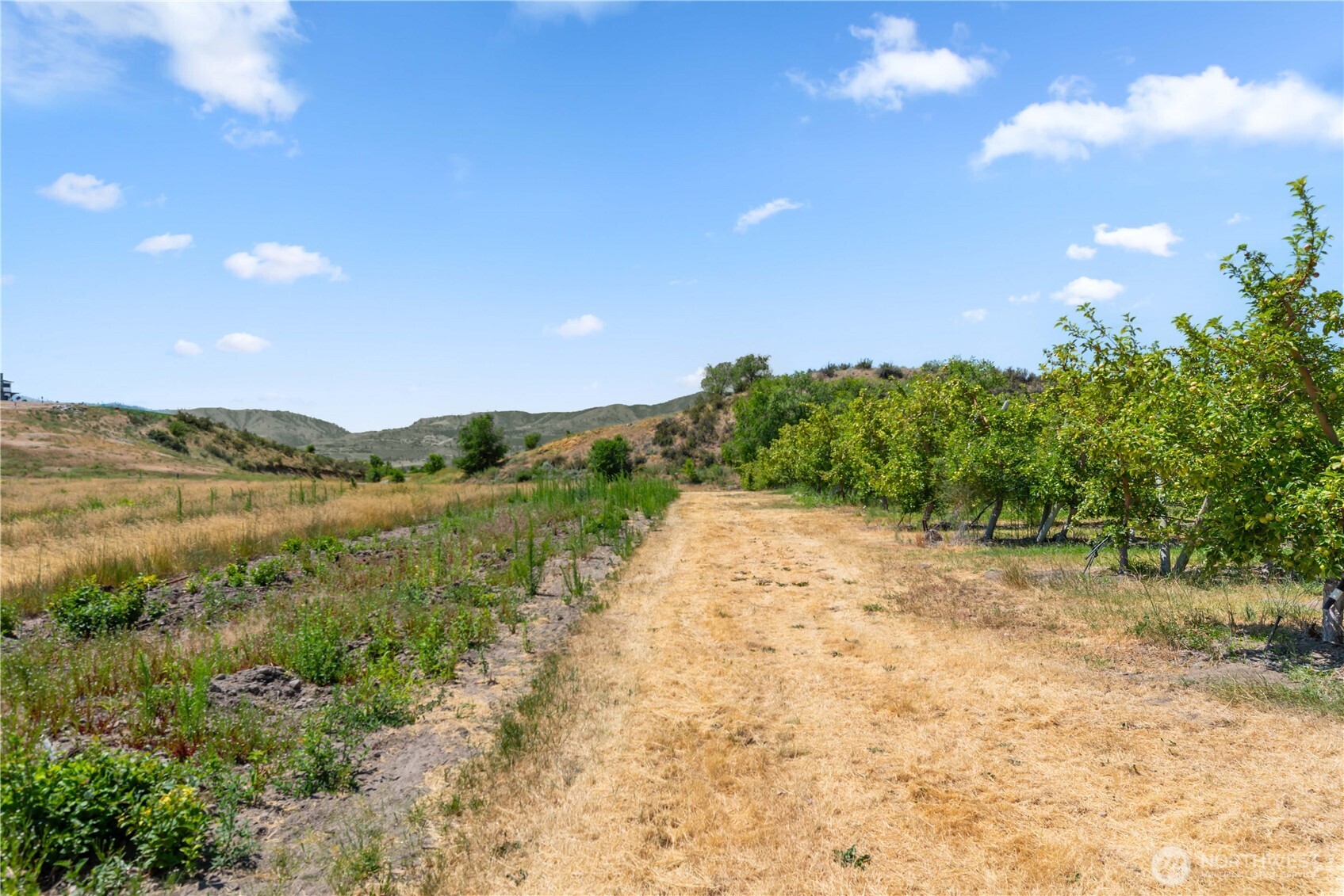 200 Lakayuse Road Manson, WA 98831 - Photo 15 of 21 a view of lake and mountain