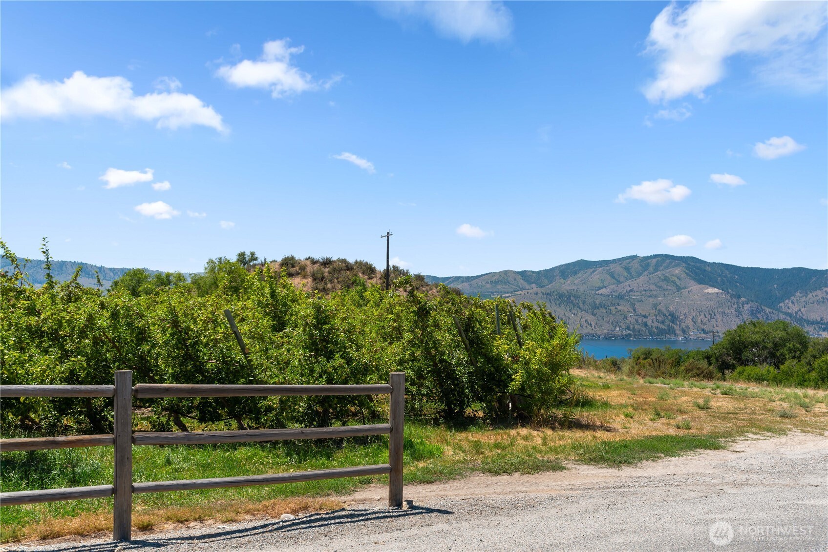 200 Lakayuse Road Manson, WA 98831 - Photo 3 of 21 a view of a yard with a tree in the background