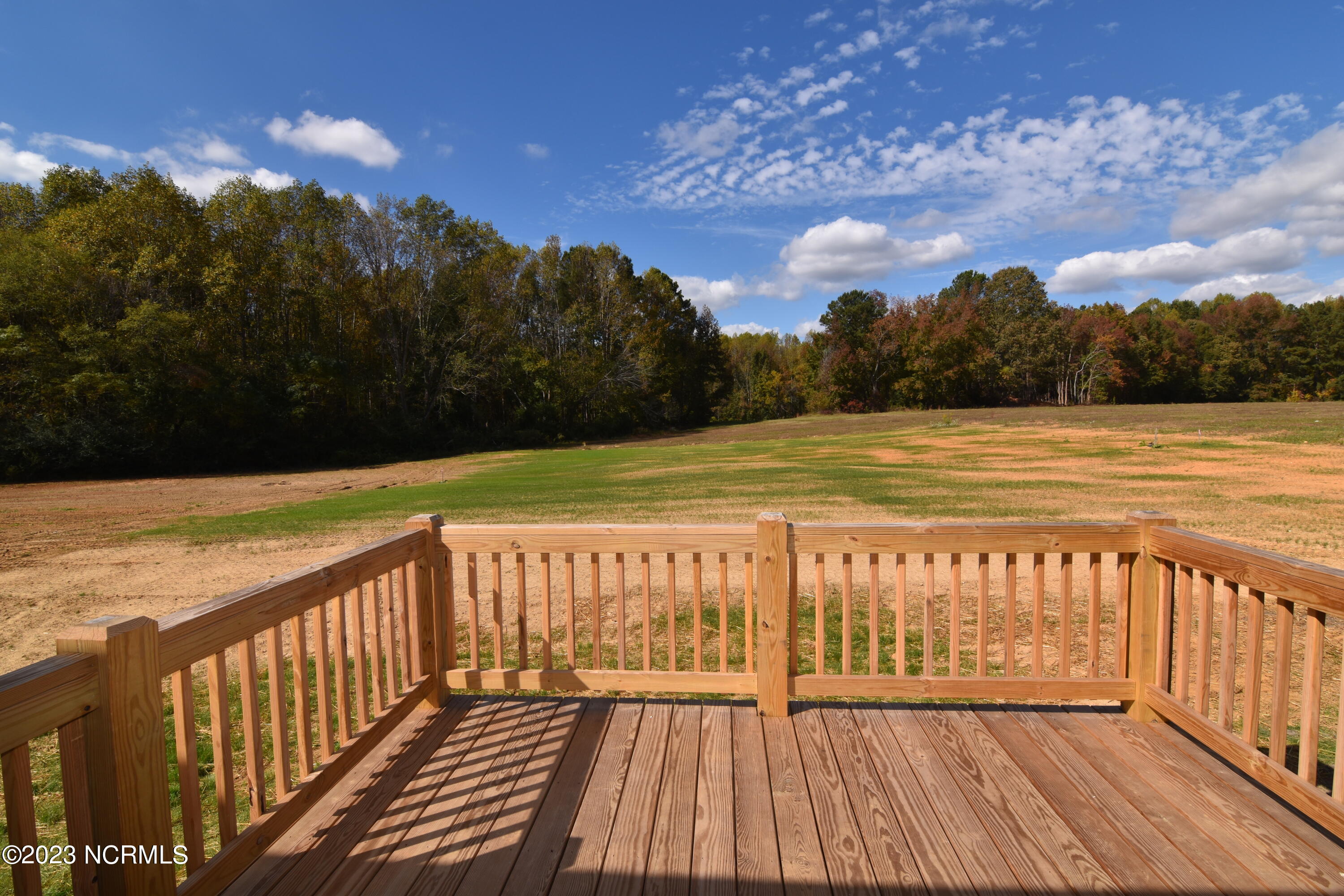 1130 Green Road Spring Hope, NC 27882 - Photo 52 of 54 DSC_0363