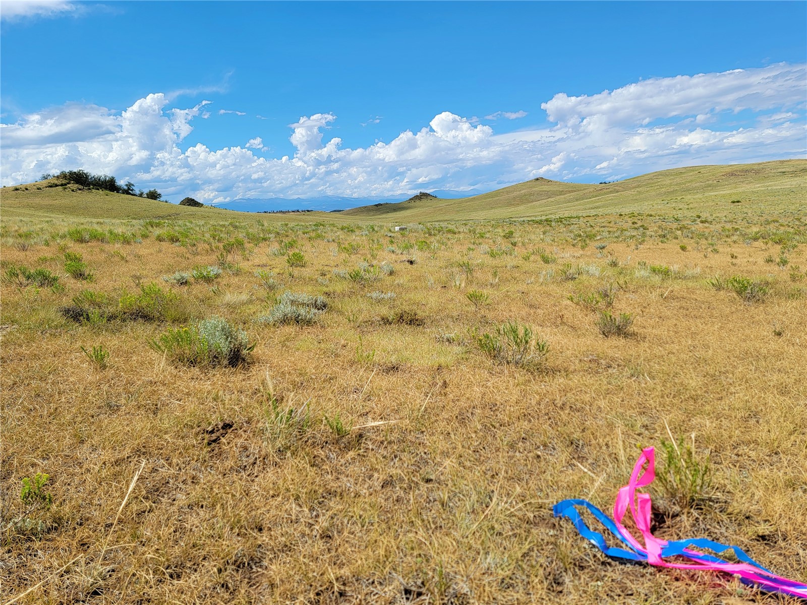 3999 Delaware Road Hartsel, CO 80449 - Photo 18 of 23 View of mountain backdrop with rural landscape