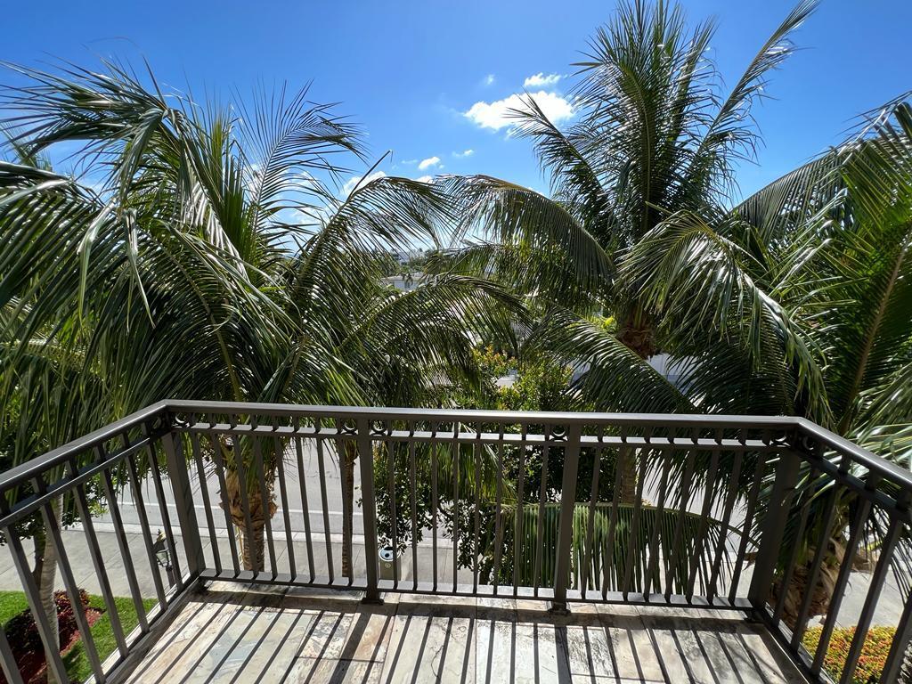 a view of balcony with a palm tree