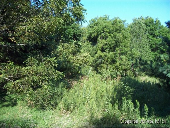 Richland Elevator Road Pleasant Plains, IL 62677 - Photo 1 of 1 Gallery Image 1