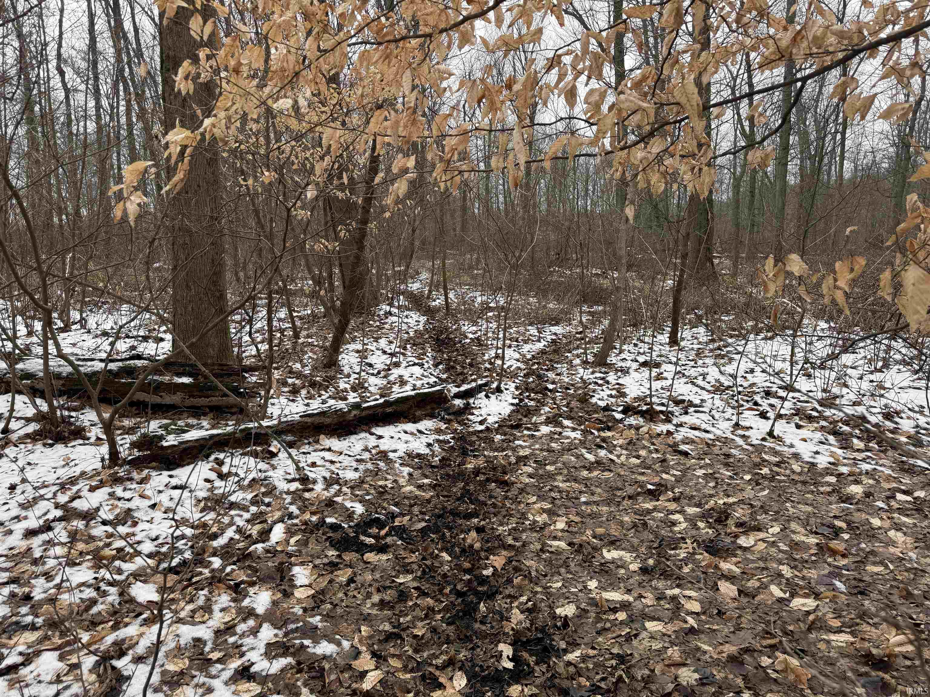 11557 Jute Road Plymouth, IN 46563 - Photo 16 of 26