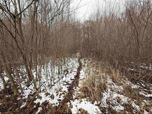 $650,000 | 11557 Jute Road, Plymouth, IN 46563