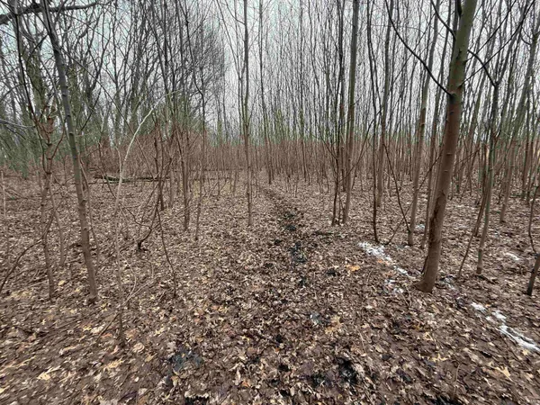 $650,000 | 11557 Jute Road, Plymouth, IN 46563