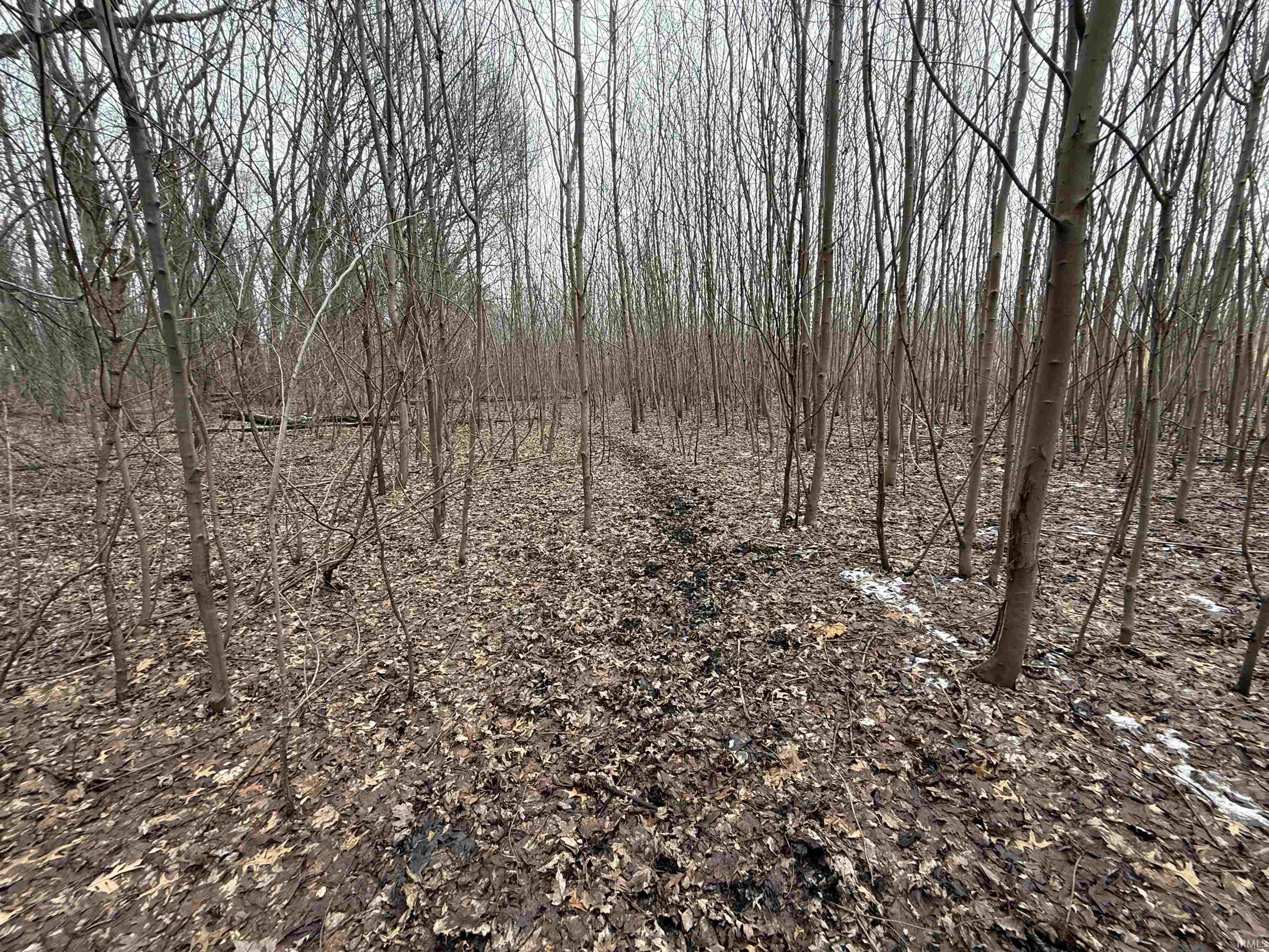 11557 Jute Road Plymouth, IN 46563 - Photo 18 of 26