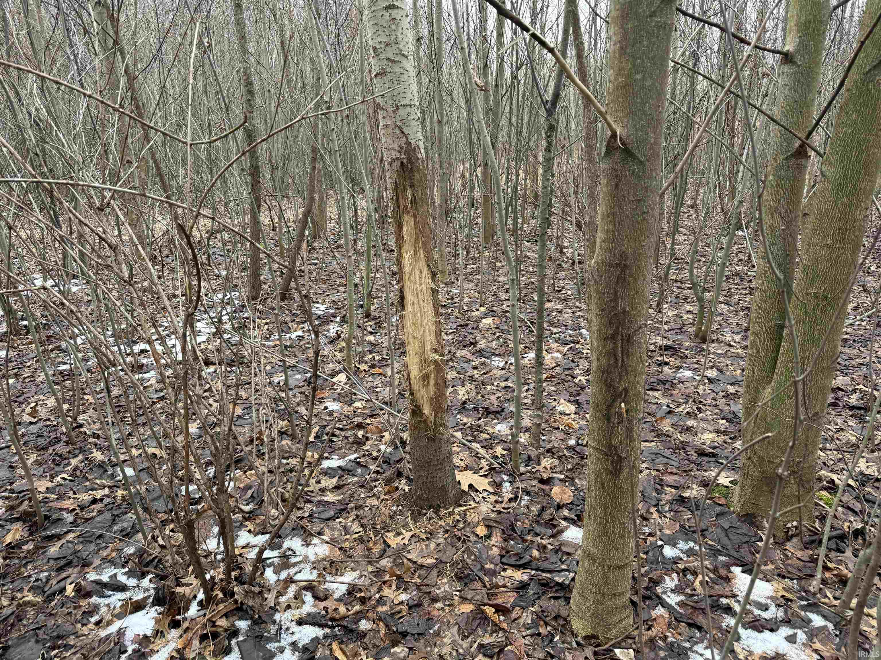 11557 Jute Road Plymouth, IN 46563 - Photo 19 of 26