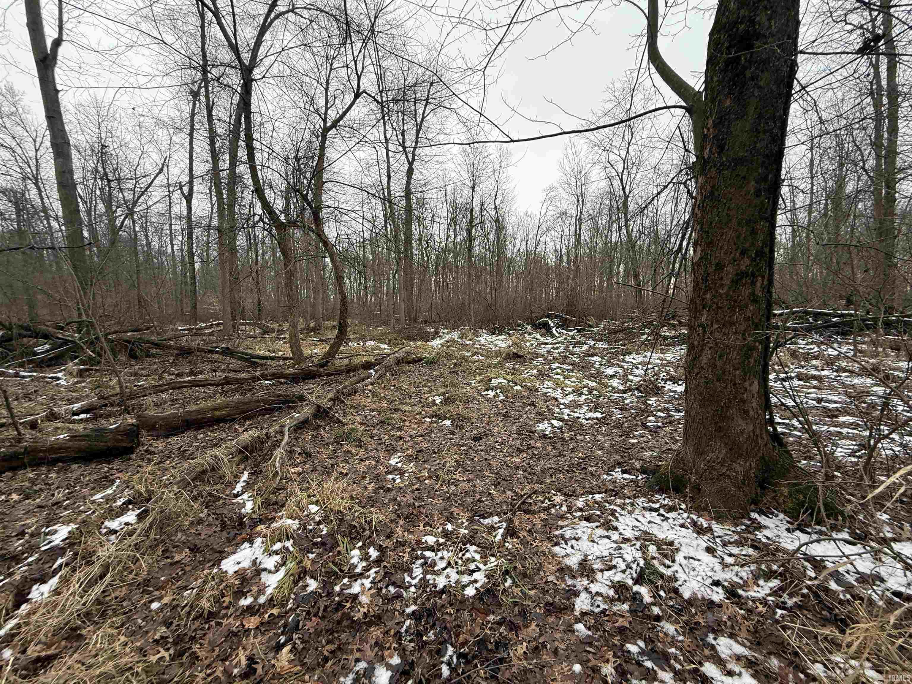 11557 Jute Road Plymouth, IN 46563 - Photo 22 of 26