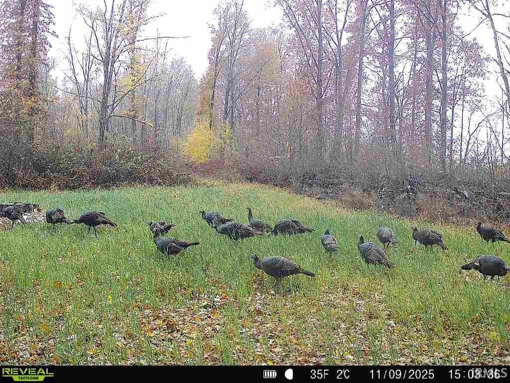 11557 Jute Road Plymouth, IN 46563 - Photo 26 of 26