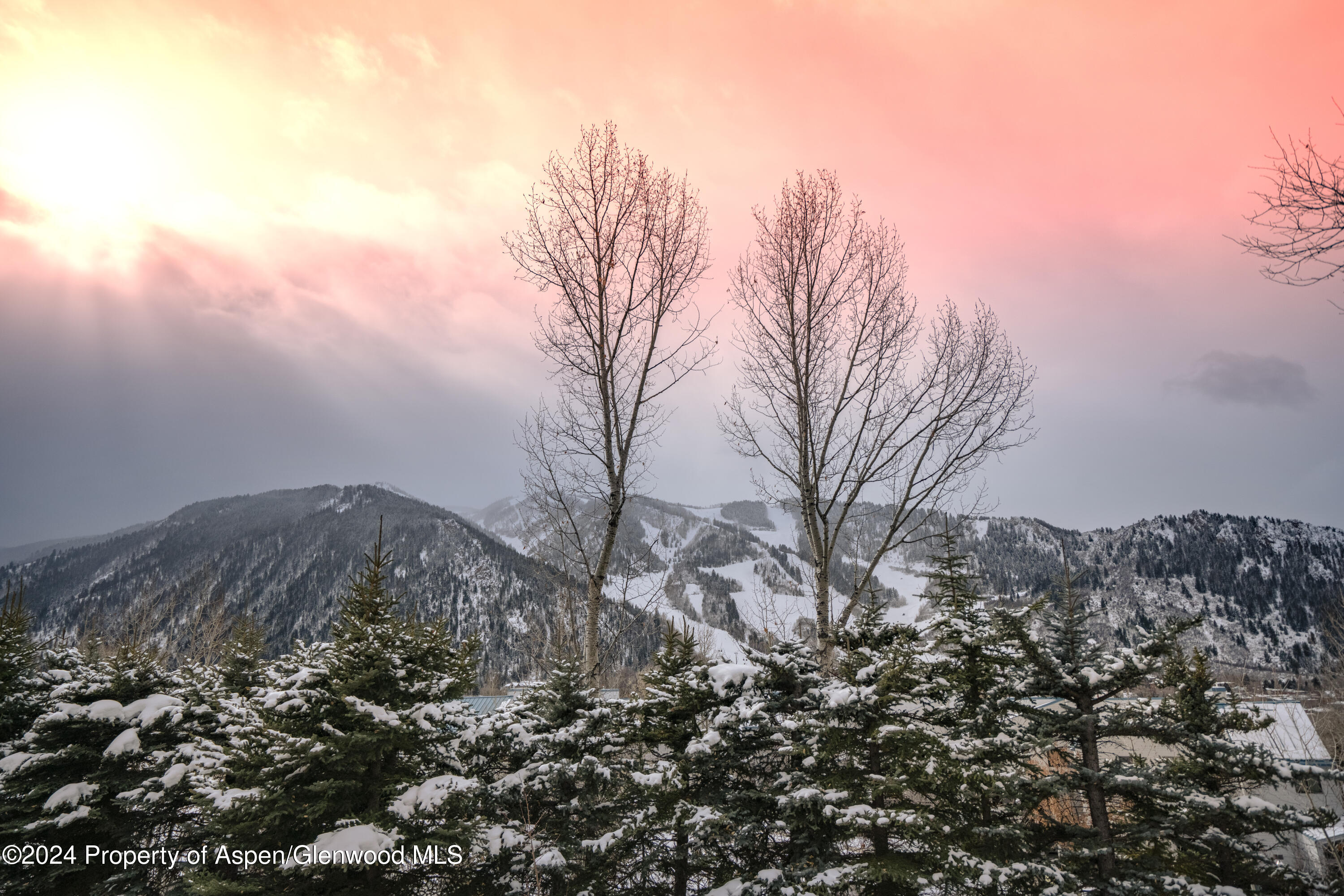 200 Silverlode Drive Aspen, CO 81611 - Photo 3 of 21 _DSC4948_2