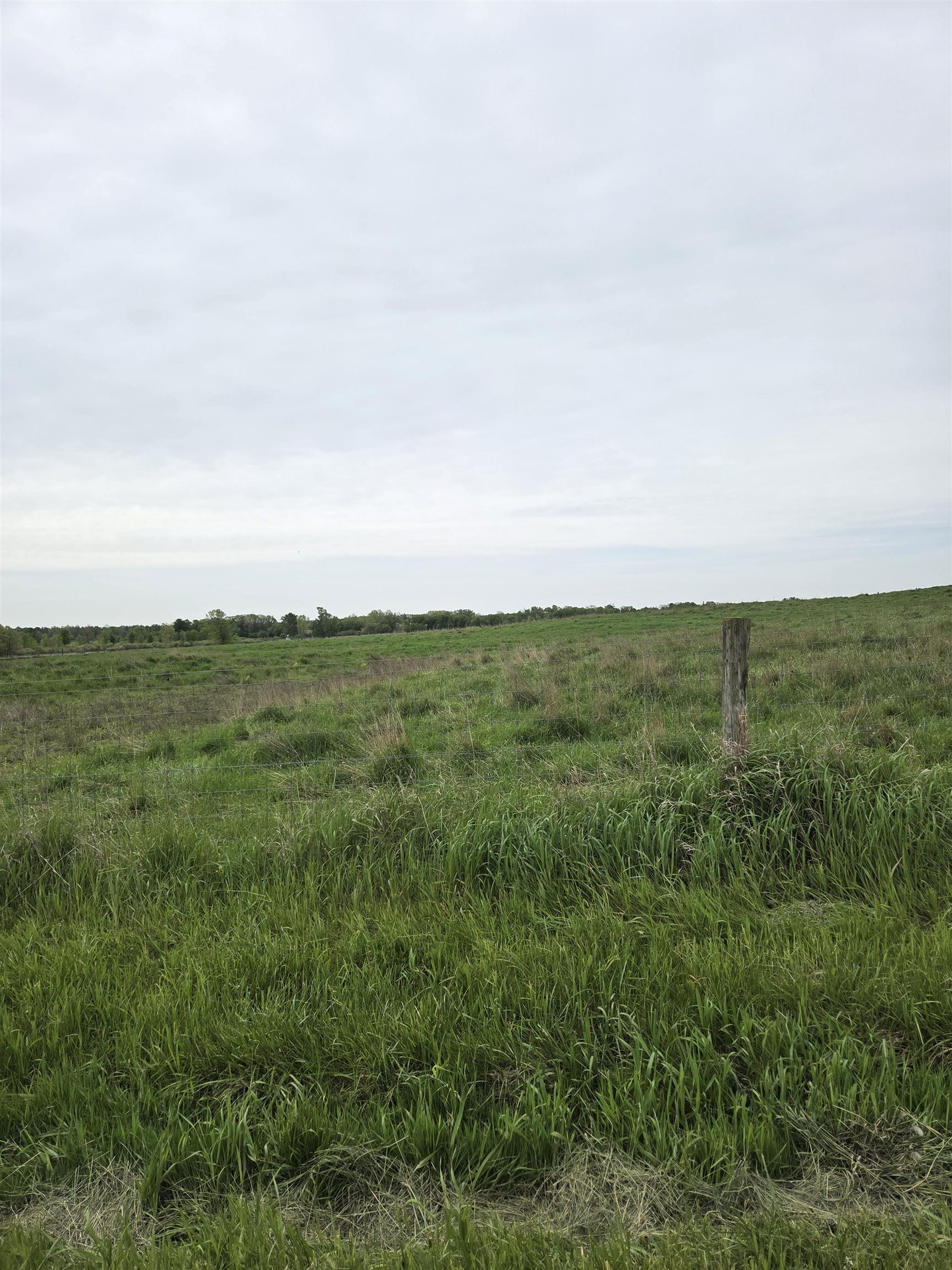 V/l East Stevenson Lake Road Clare, MI 48617 - Photo 4 of 5