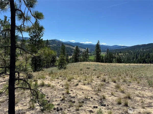 a view of a dry yard