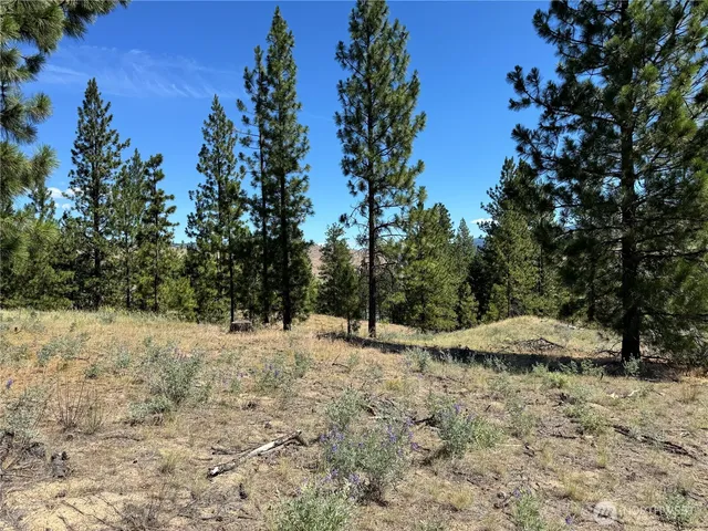 a backyard of a house with large trees