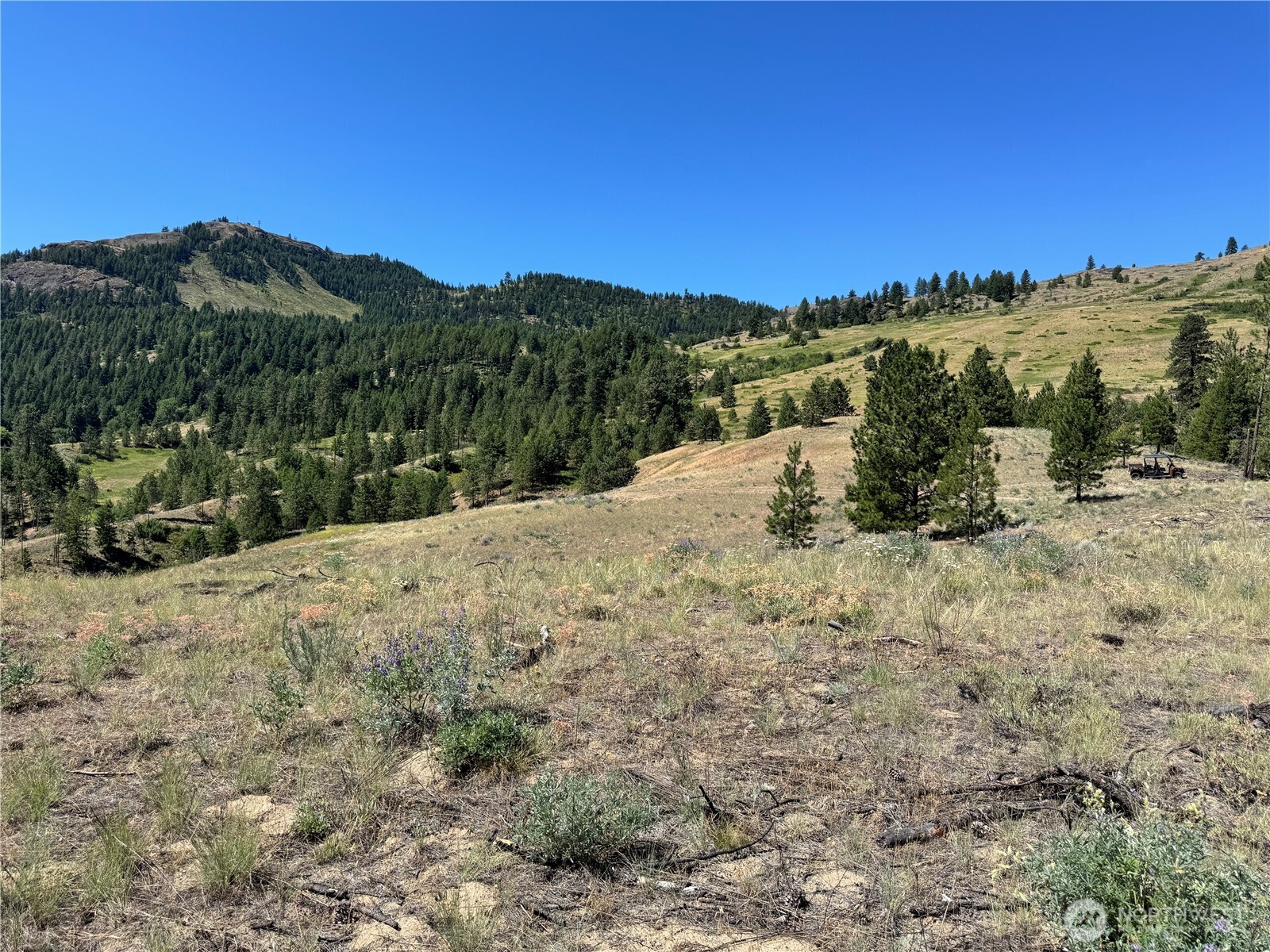 2 B Lundimow Meadows Road Curlew, WA 99118 - Photo 15 of 19 a view of a dry yard