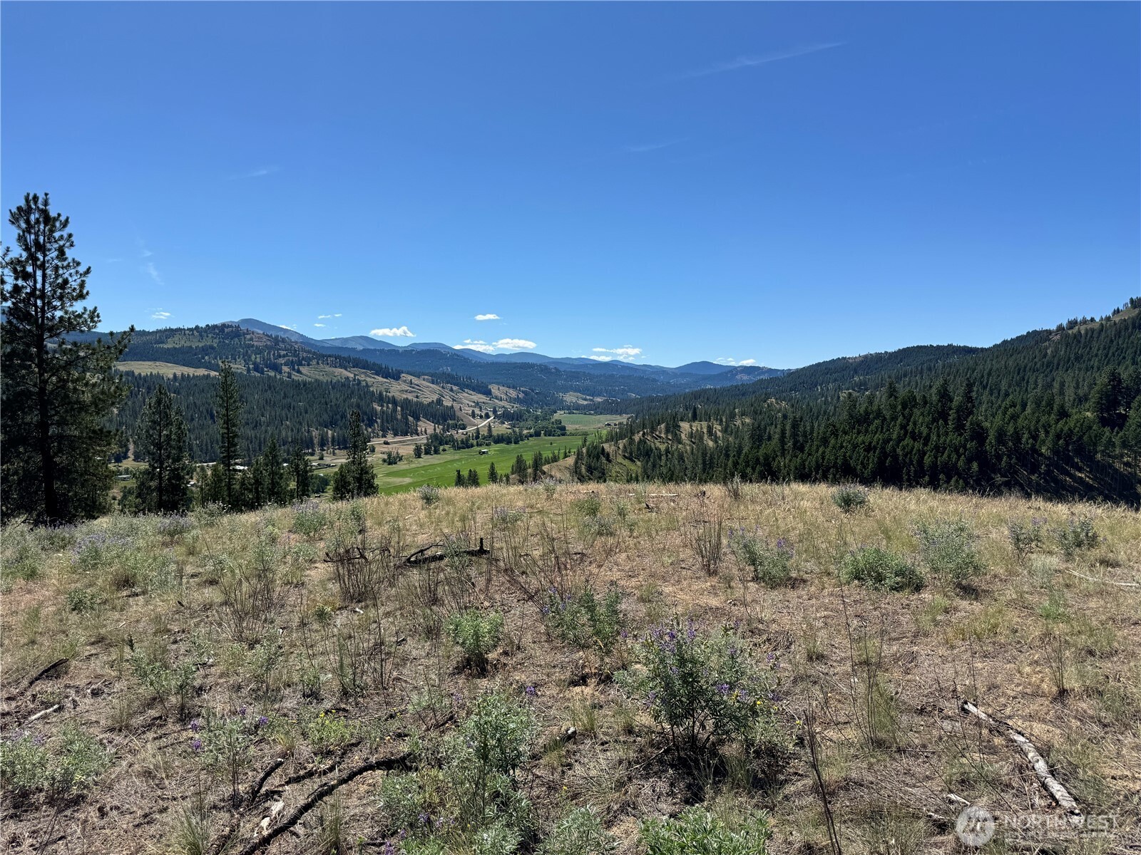 2 B Lundimow Meadows Road Curlew, WA 99118 - Photo 16 of 19 a view of a yard