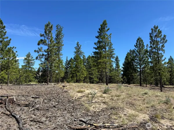 a view of covered with snow
