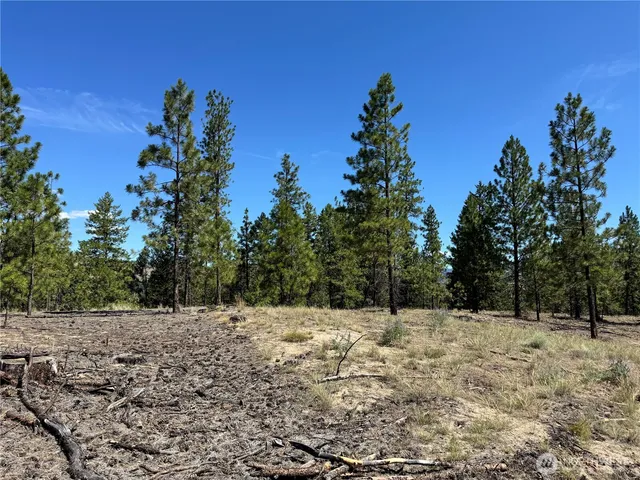 a view of covered with snow