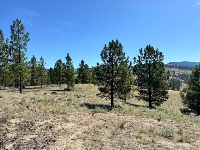 a view of a yard with a tree