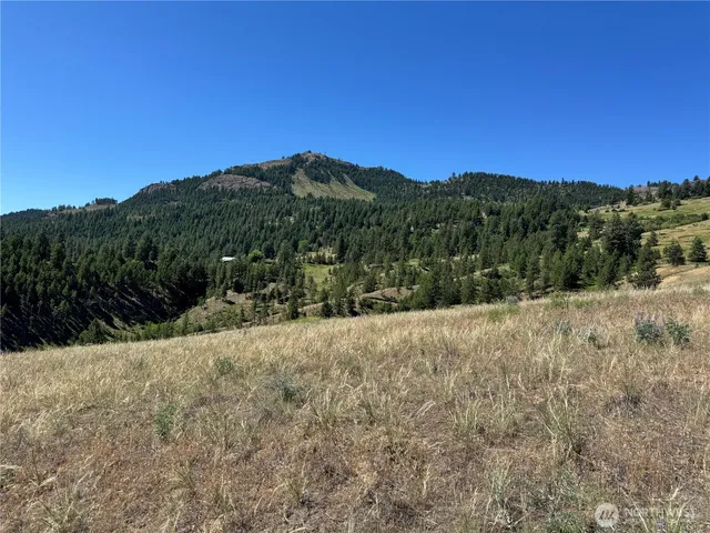 a view of a dry yard with mountains in the background