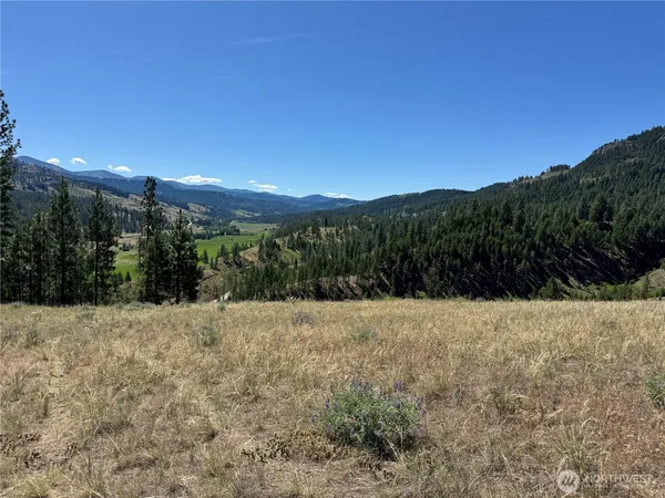 a view of outdoor space and mountain view