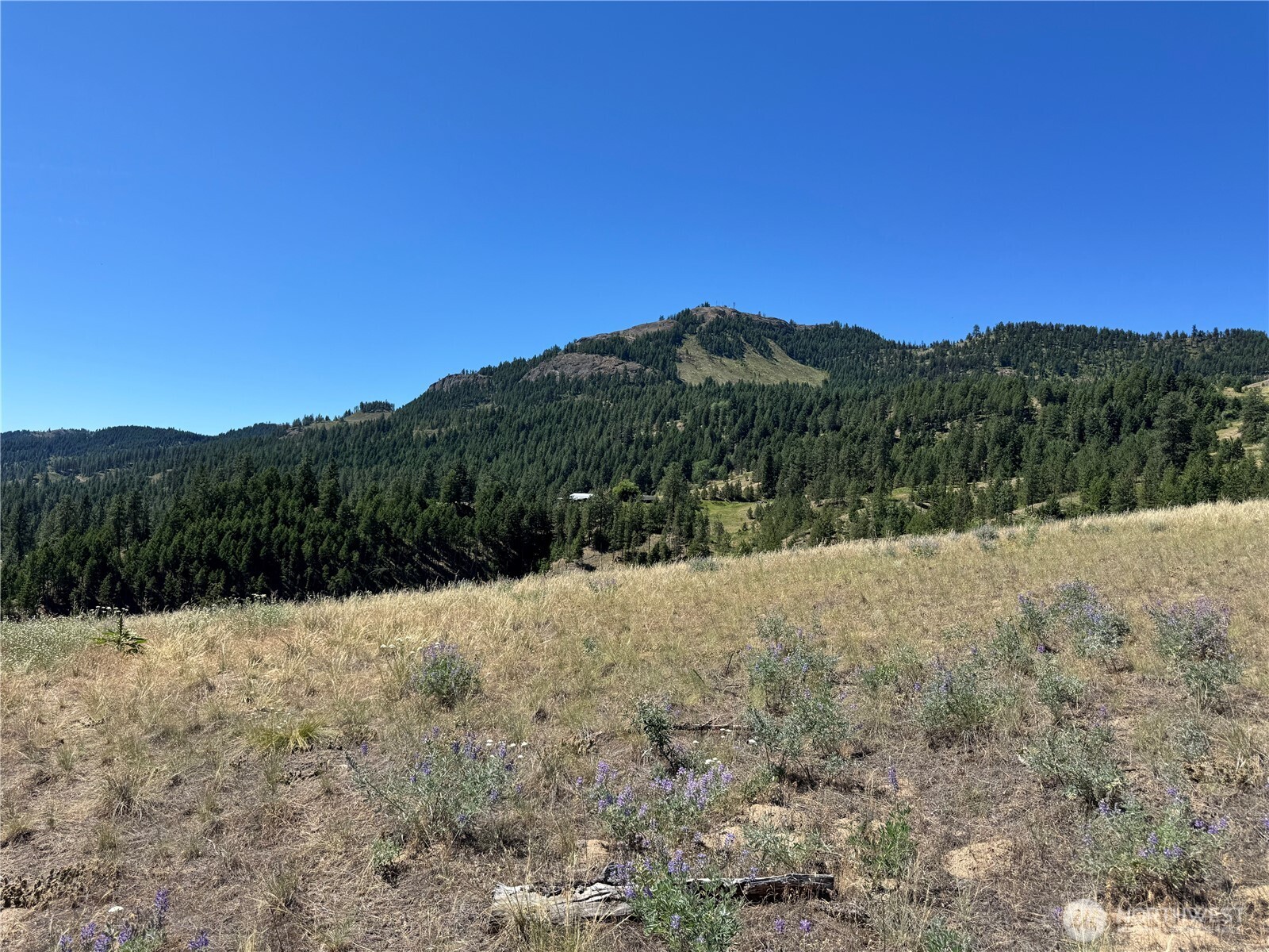 2 B Lundimow Meadows Road Curlew, WA 99118 - Photo 4 of 19 a view of a mountain view of mountains and valleys
