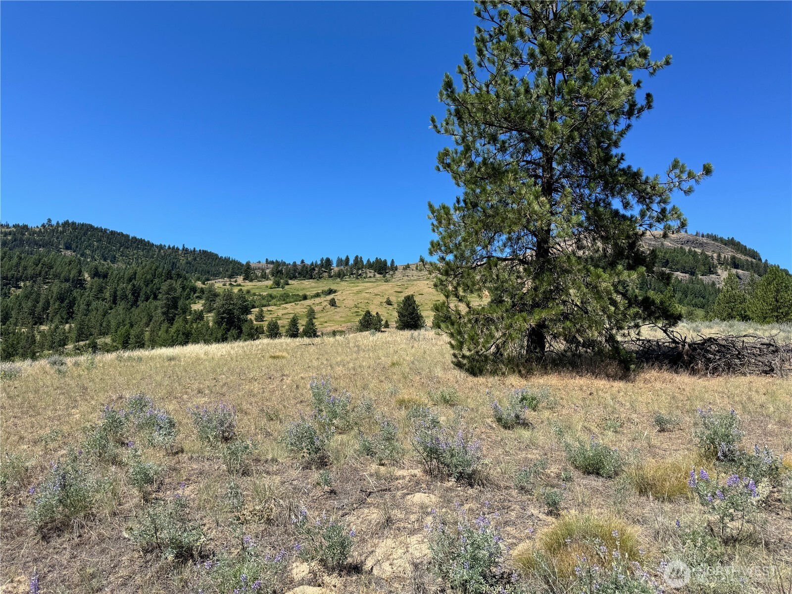 2 B Lundimow Meadows Road Curlew, WA 99118 - Photo 5 of 19 a view of mountain view with mountain view
