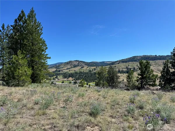 a view of a dry yard with trees in the background
