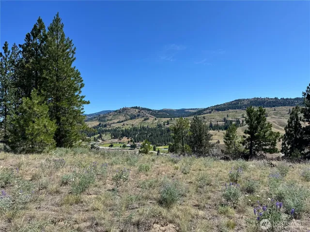 a view of a dry yard with trees in the background