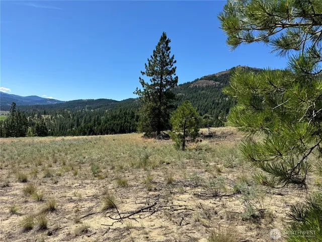 a view of a dry yard