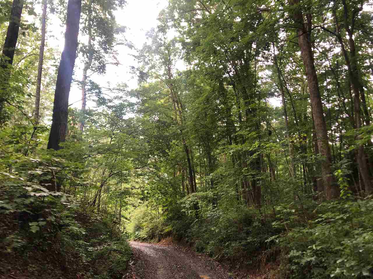 0 Camp Road Lewisburg, WV 24901 - Photo 13 of 13 Gallery Image 13