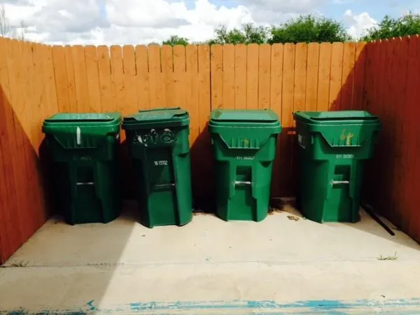 a view of a backyard with plants