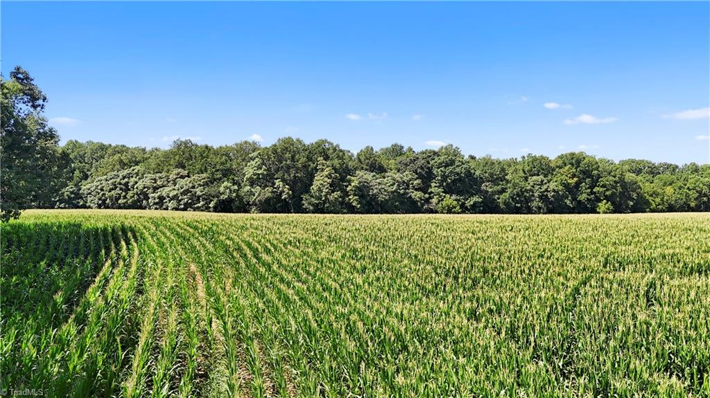 Tbd Lot 8 Howards Bridge Road Union Grove, NC 28689 - Photo 11 of 15 Gallery Image 11