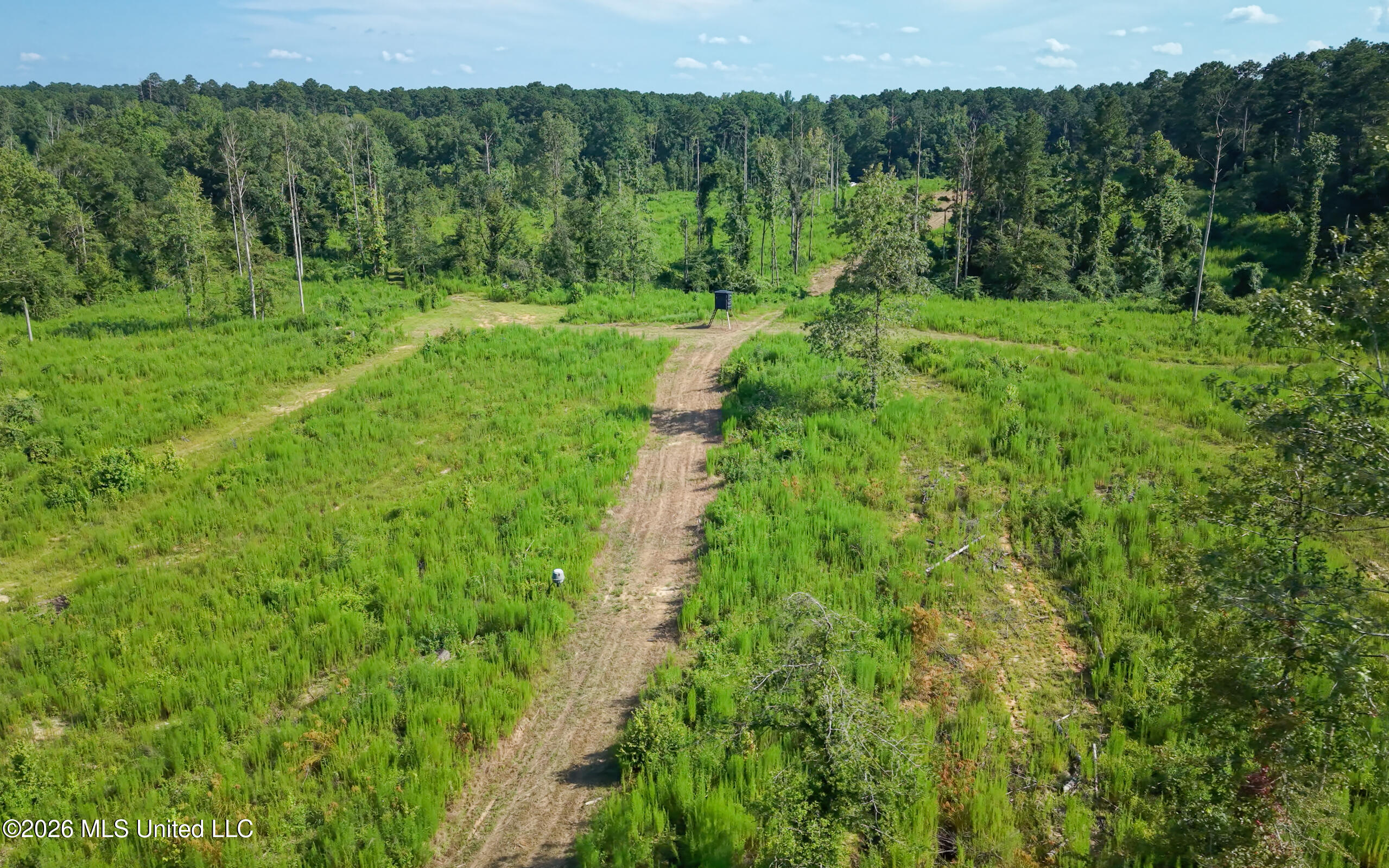 Lower Liberty Gloster Road Gloster, MS 39638 - Photo 7 of 26 103+_- Acres deer stand 3
