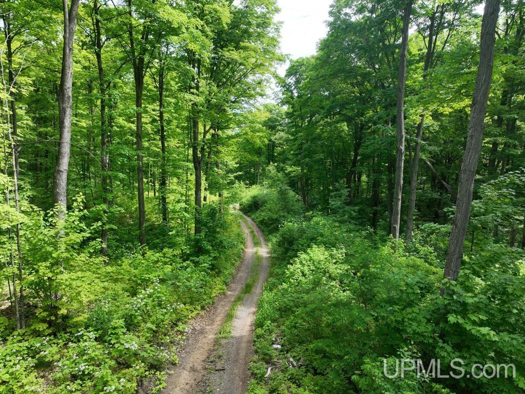 0 County Road 553 Road Marquette, MI 49855 - Photo 18 of 38