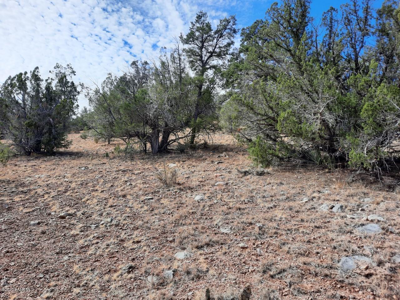 Lot 102 Shadow Rock Ranch Seligman, AZ 86337 - Photo 11 of 18 lot 102 4