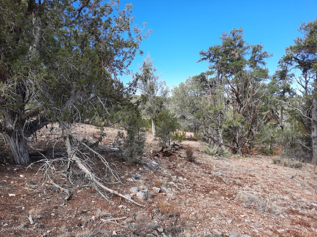 Lot 102 Shadow Rock Ranch Seligman, AZ 86337 - Photo 13 of 18 lot 102 8
