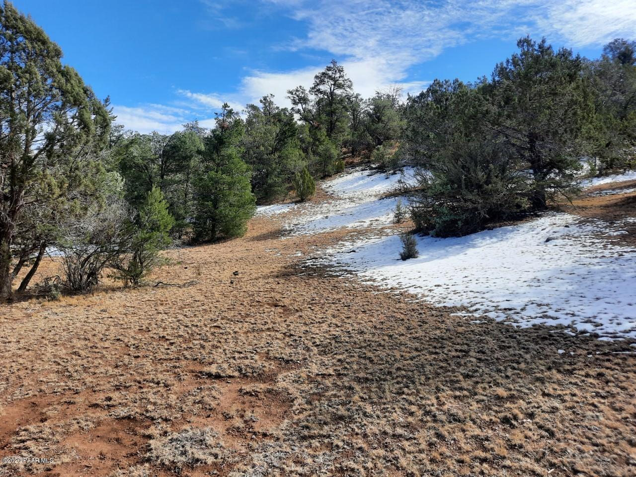 Lot 102 Shadow Rock Ranch Seligman, AZ 86337 - Photo 3 of 18 lot 102 13