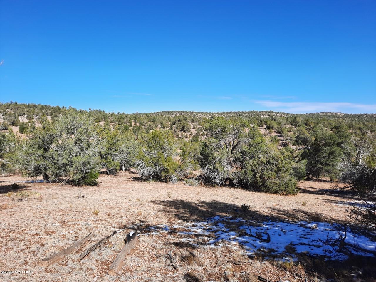 Lot 102 Shadow Rock Ranch Seligman, AZ 86337 - Photo 5 of 18 lot 102 10