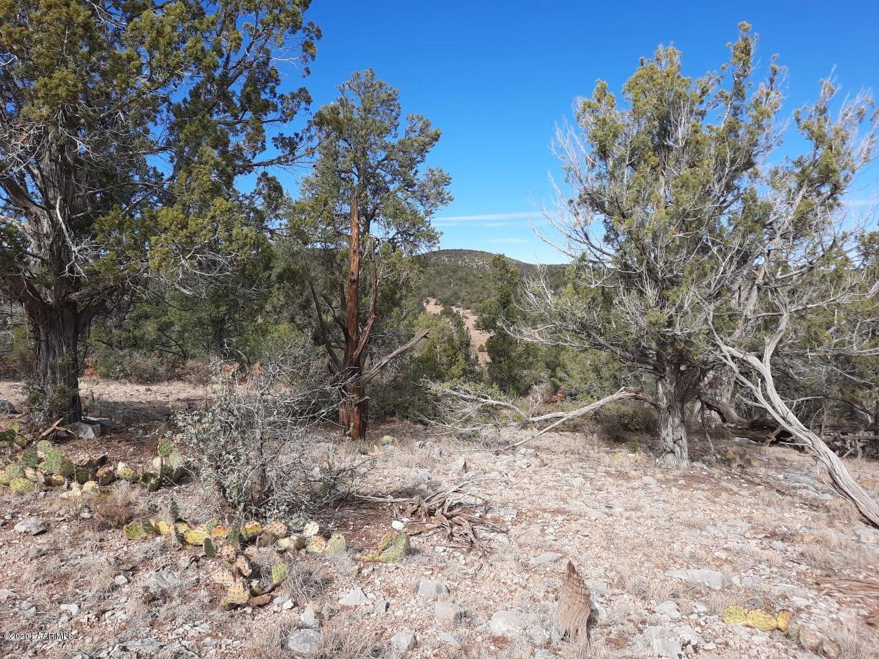 Lot 102 Shadow Rock Ranch Seligman, AZ 86337 - Photo 6 of 18 lot 102 3