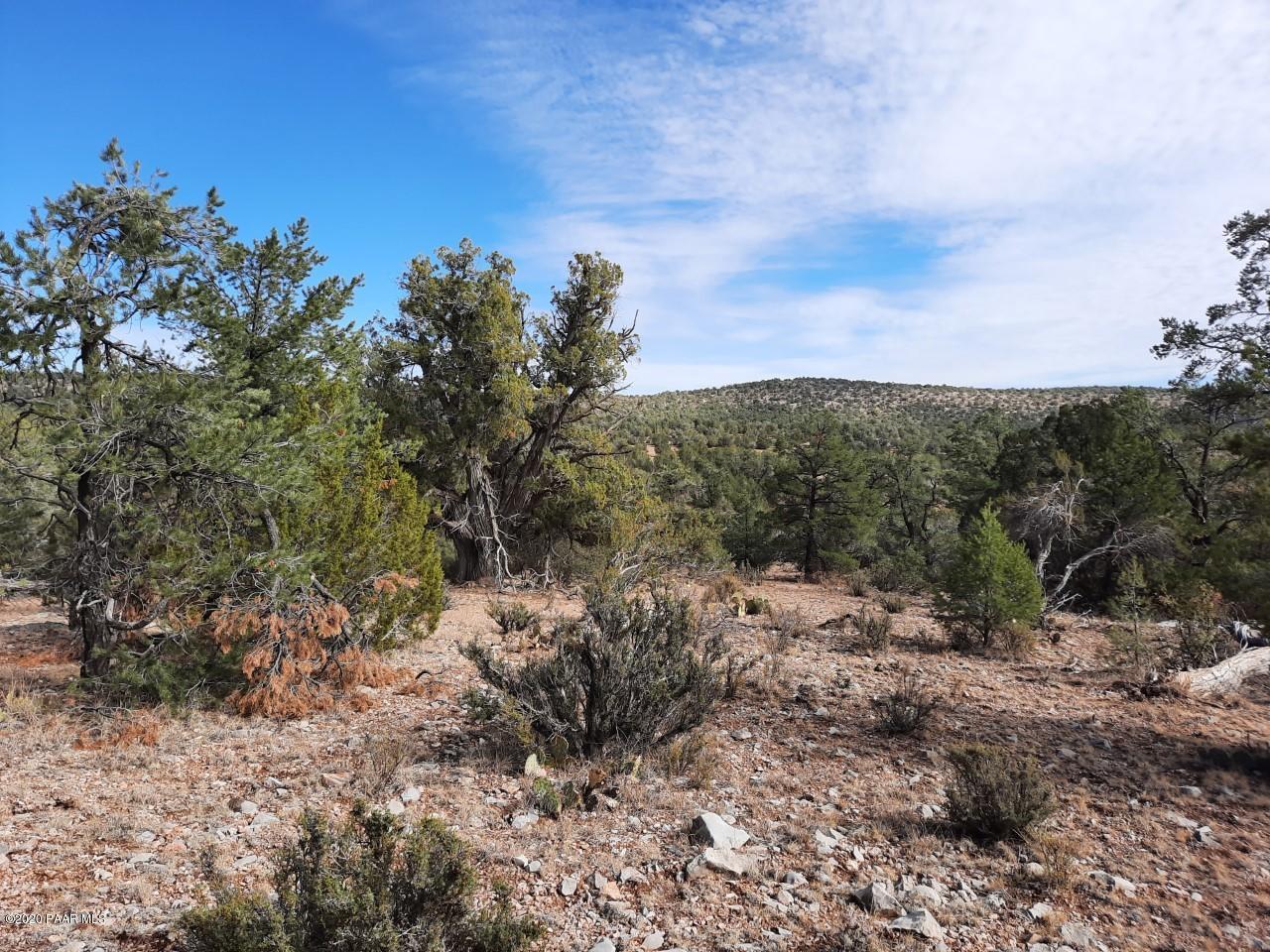 Lot 102 Shadow Rock Ranch Seligman, AZ 86337 - Photo 9 of 18 lot 102 6