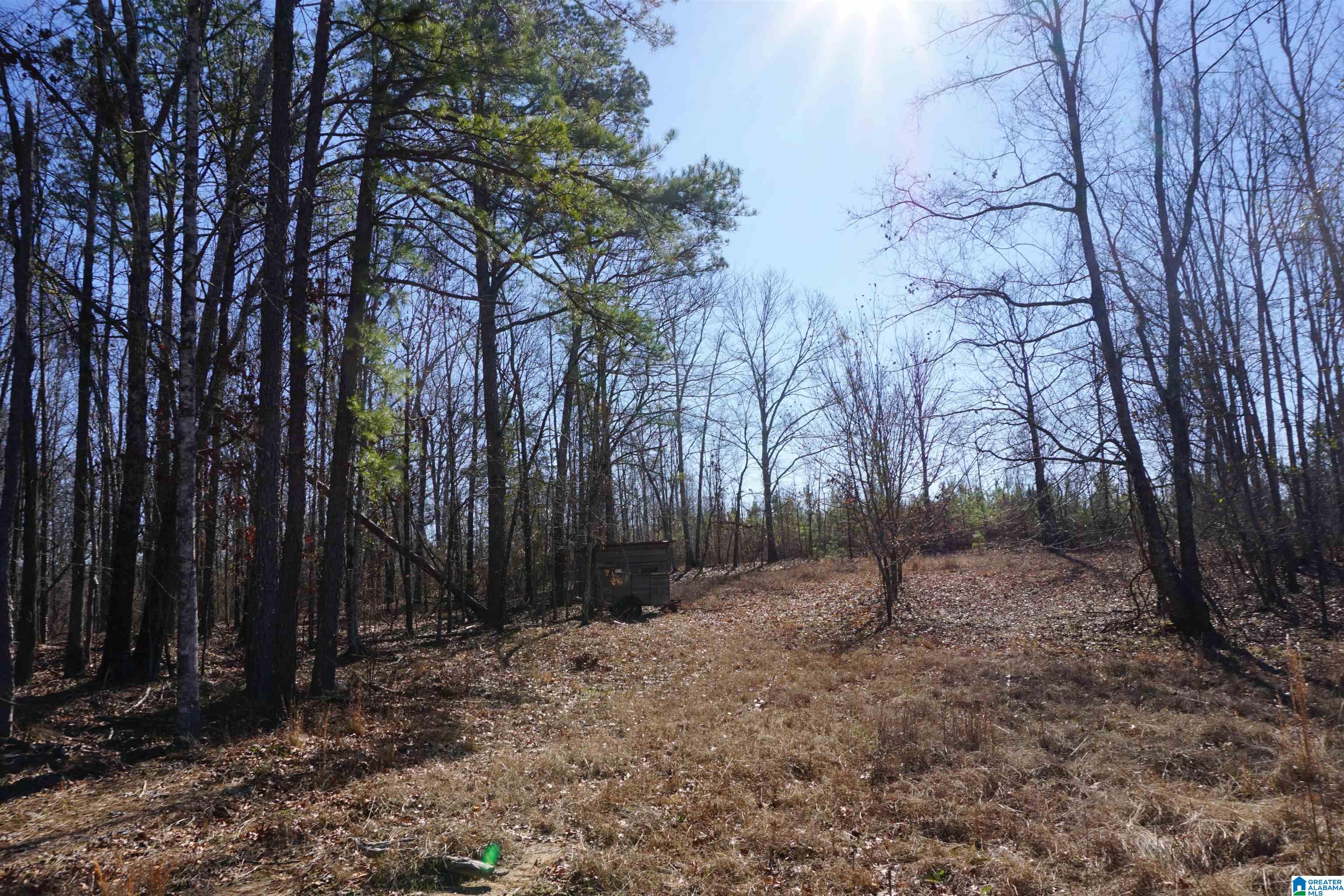 6171 Highway 102, Unit 1 Fayette, AL 35555 - Photo 49 of 68