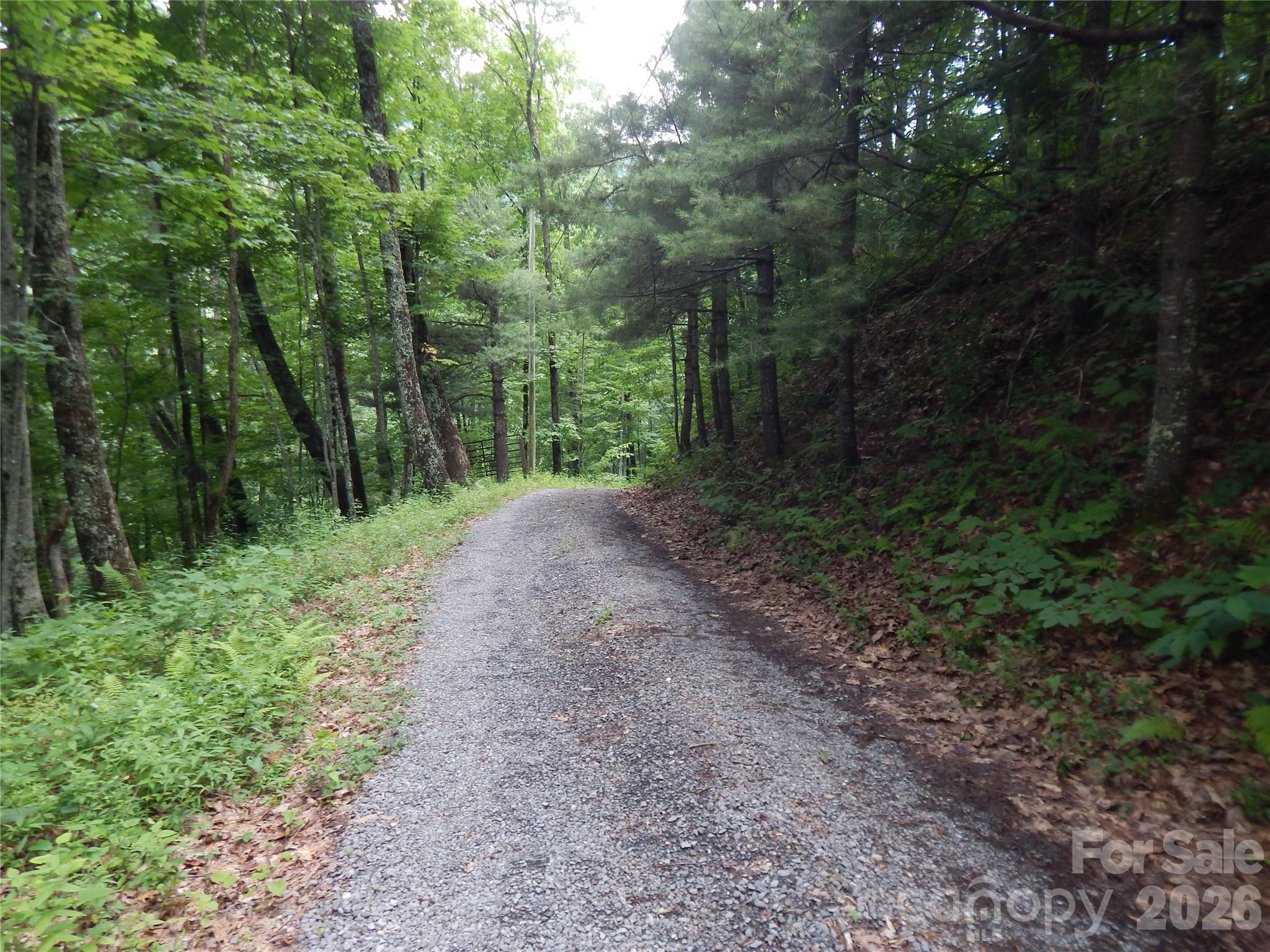 0 Hoot Owl Bill Road Maggie Valley, NC 28751 - Photo 4 of 37 a view of a forest with trees in the background