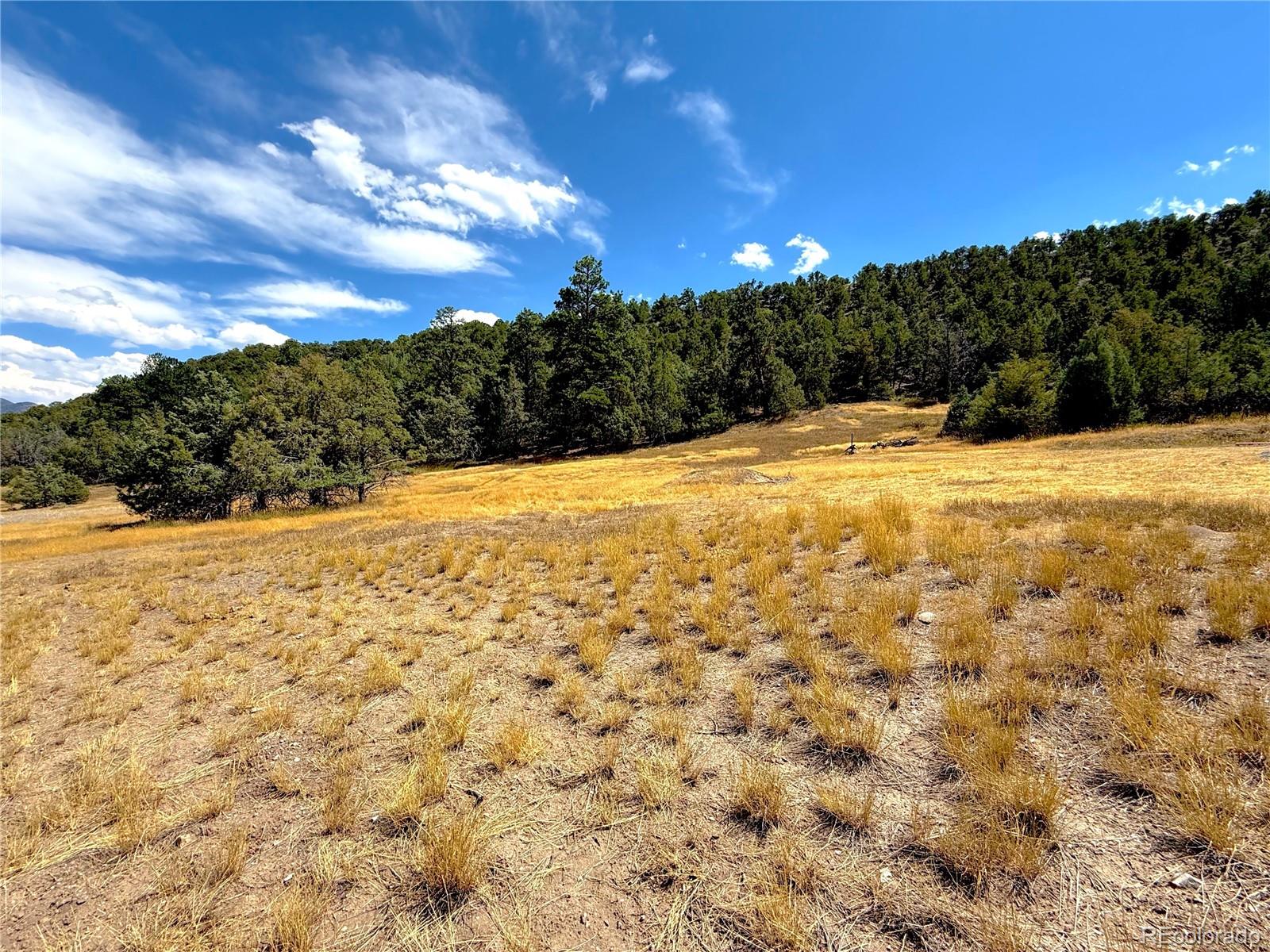 48 West Rd Howard Co 81233 Road Howard, CO 81233 - Photo 11 of 15 Gallery Image 11