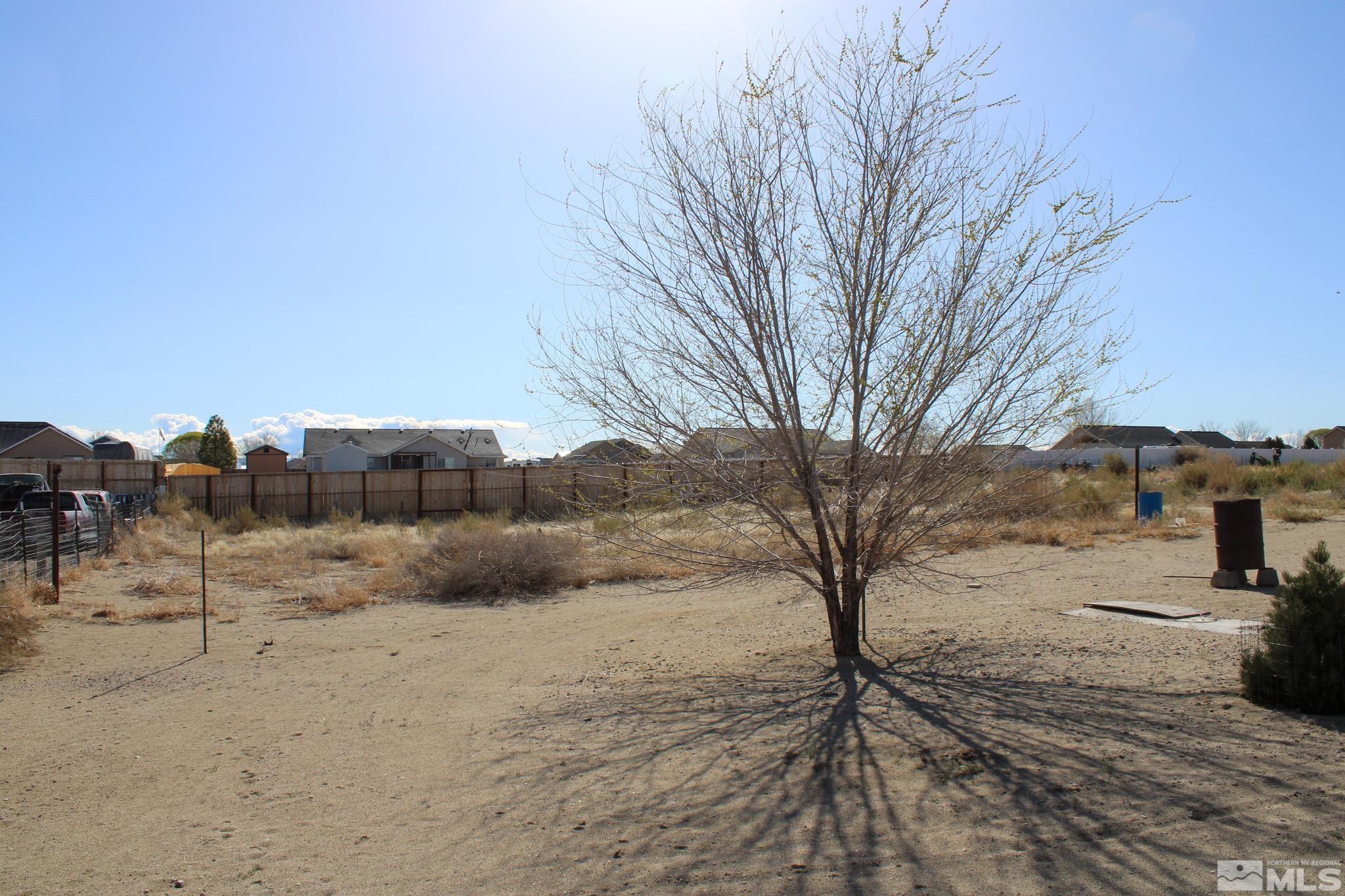 1850 Pam's Place Fallon, NV 89406 - Photo 33 of 40 a view of a dry yard with trees