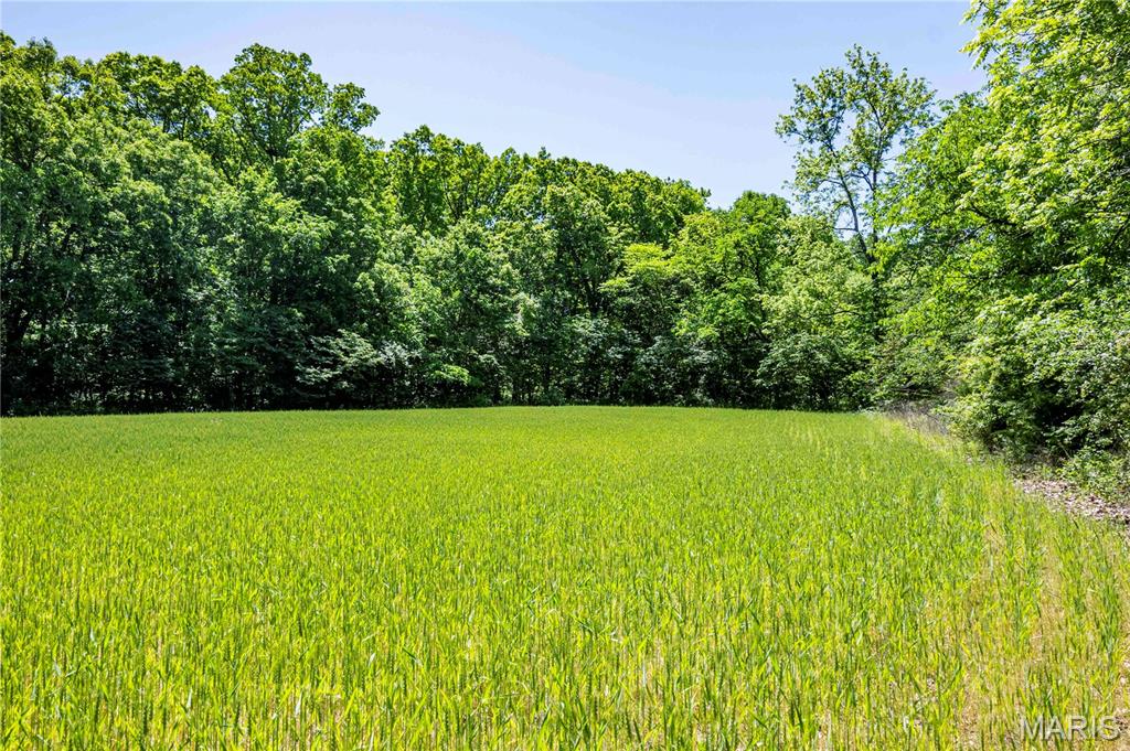 2126 Krenning Road Beaufort, MO 63013 - Photo 81 of 99