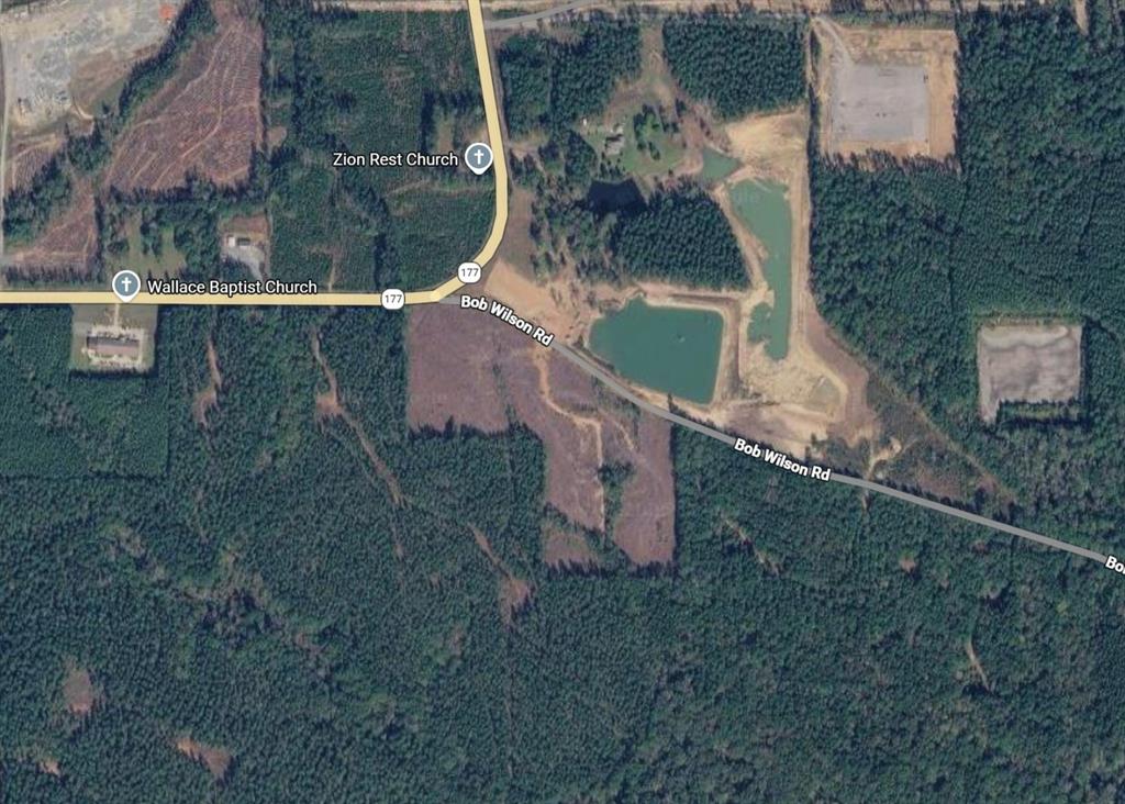 0 Bob Wilson Road Pelican, LA 71063 - Photo 1 of 1