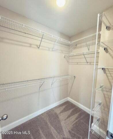 4367 West Pine Street, Unit A Farmville, NC 27828 - Photo 9 of 14 20251010211659401383000000-o