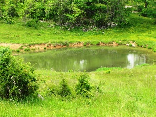 Johnson Crossroads Union, WV 24983 - Photo 16 of 21 Gallery Image 16