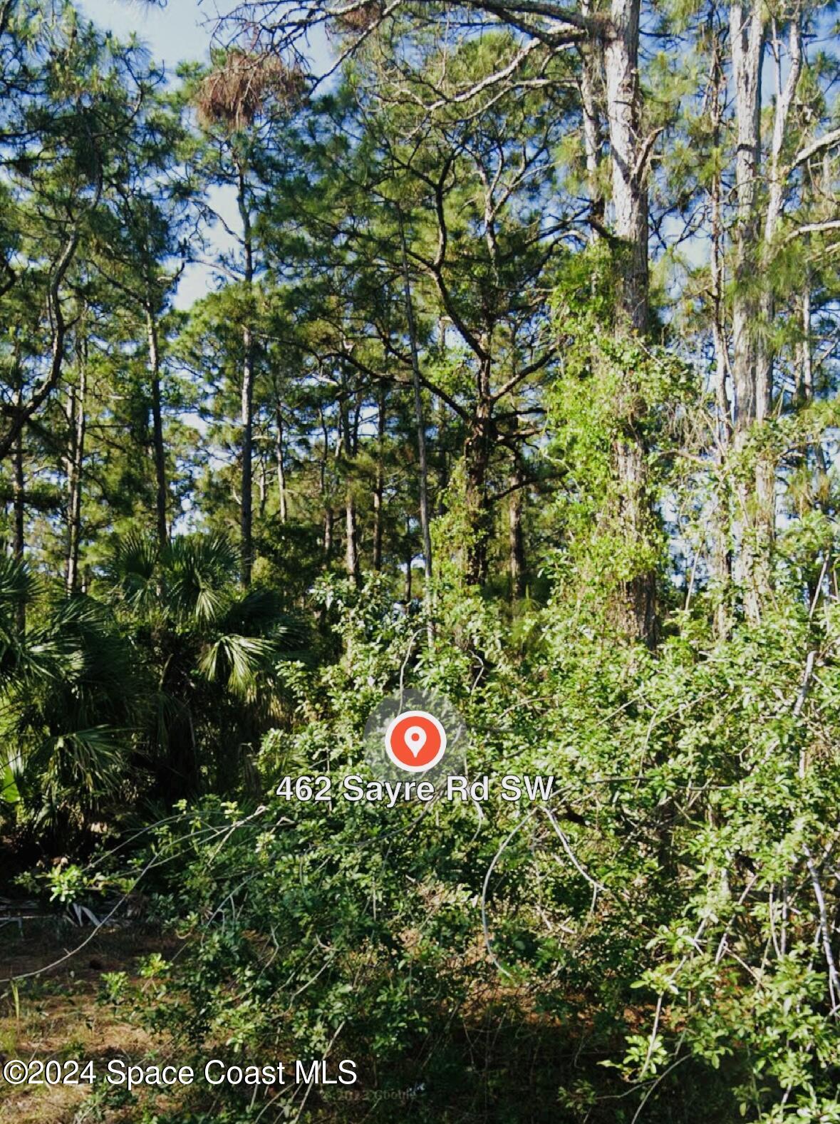 462 Sayre Road Southwest Palm Bay, FL 32908 - Photo 4 of 7