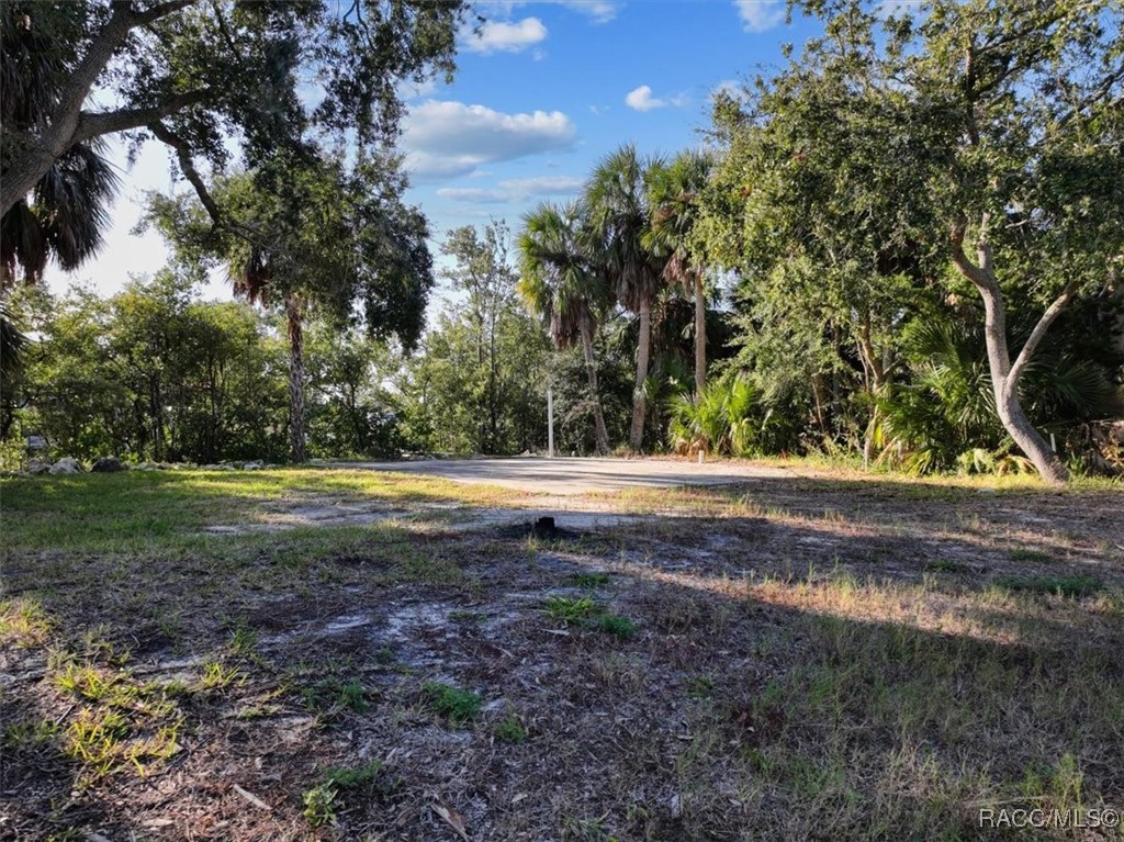 Lot 7 9th Street Cedar Key, FL 32625 - Photo 13 of 14
